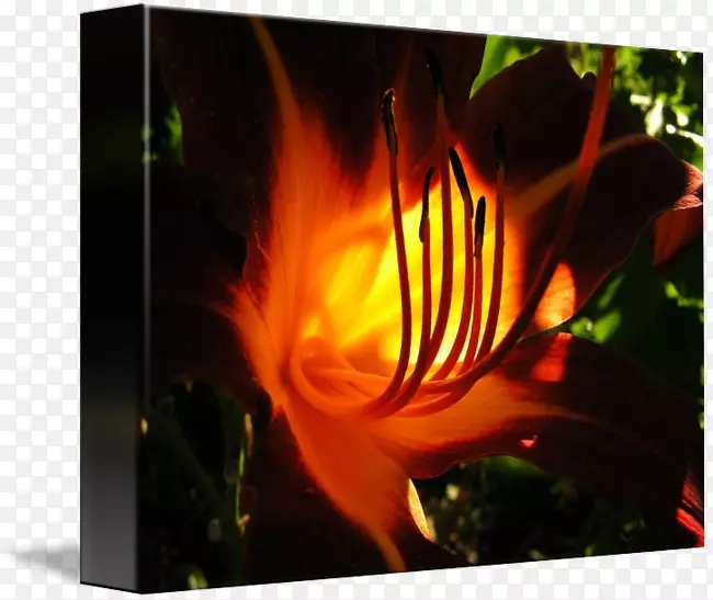 ̨ʽ��ֽ����-������