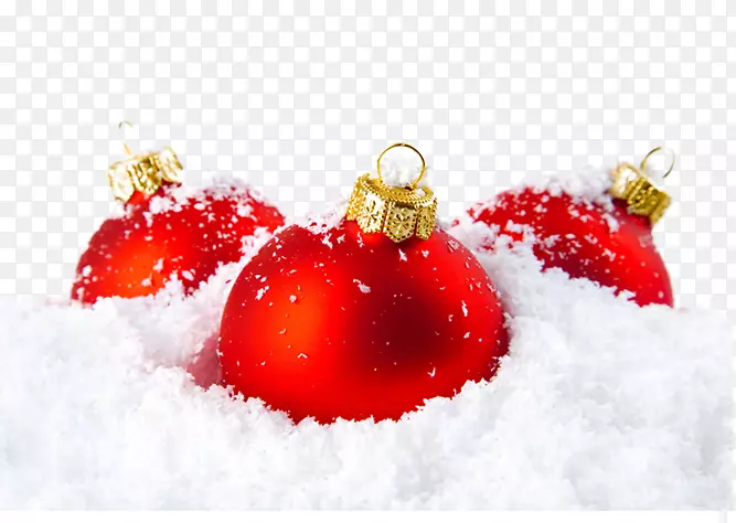 ʥ��װ��Ʒװ������ʥ��װ�ν������ѩ����-������