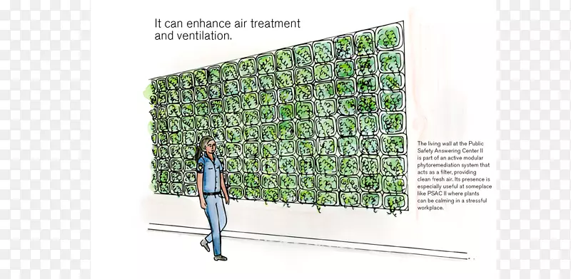 �ݽ�-������