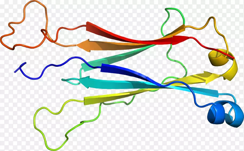 �ߵ������-��-������