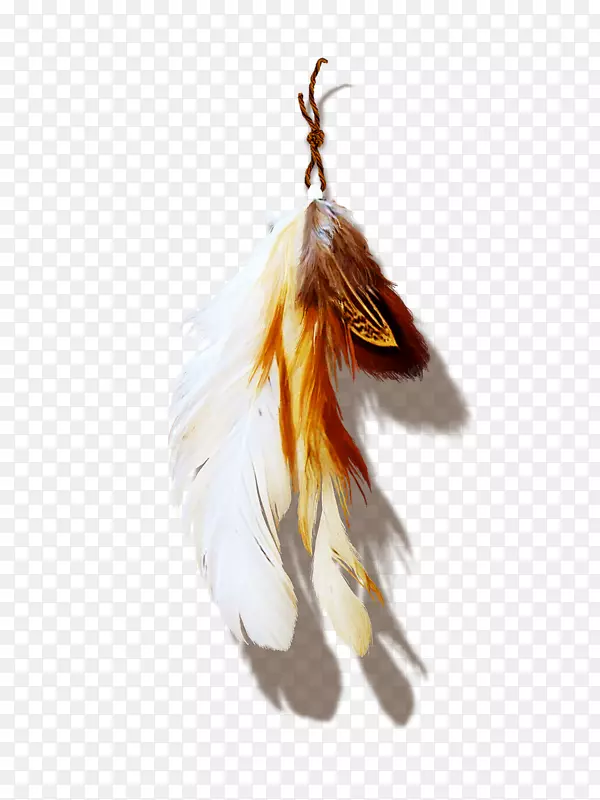 ��ë��ɫ������-��ë-������