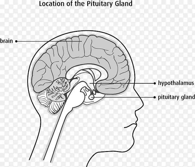 Ů�Դ���С����ϵͳ�Ը�-��-������