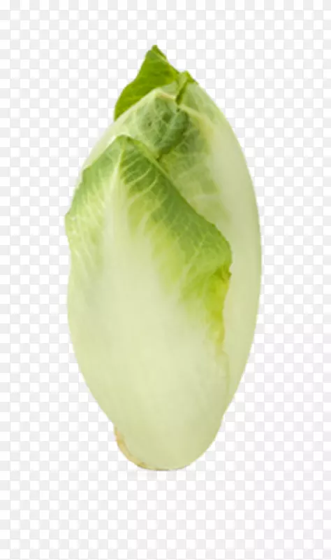 ������Ҷ��ɫ��-�߲�-������