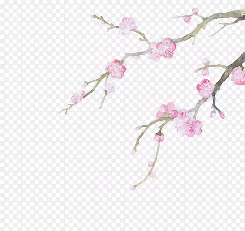 ˮ�ʻ���ͼ-��÷-������