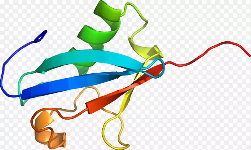 �ߵ������������-������