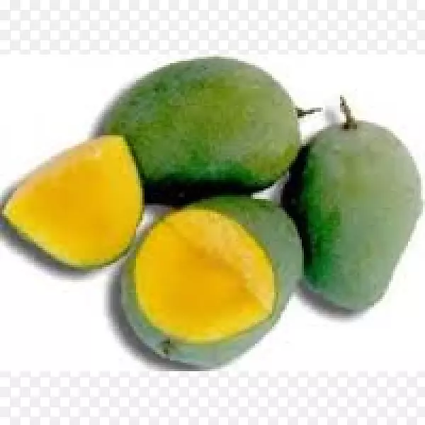 �����߲�â��-������