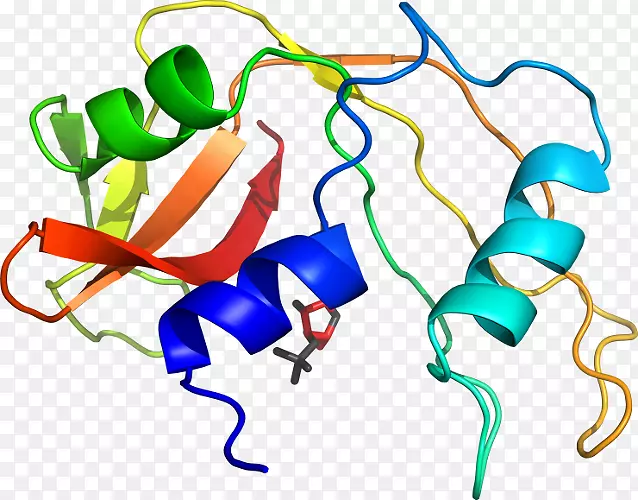 �ߵ������-��-������