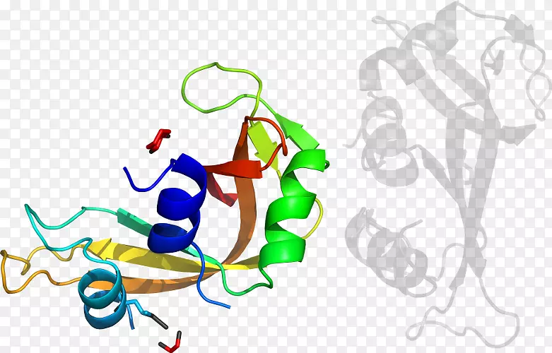 ƽ����Ƽ�����.���-������