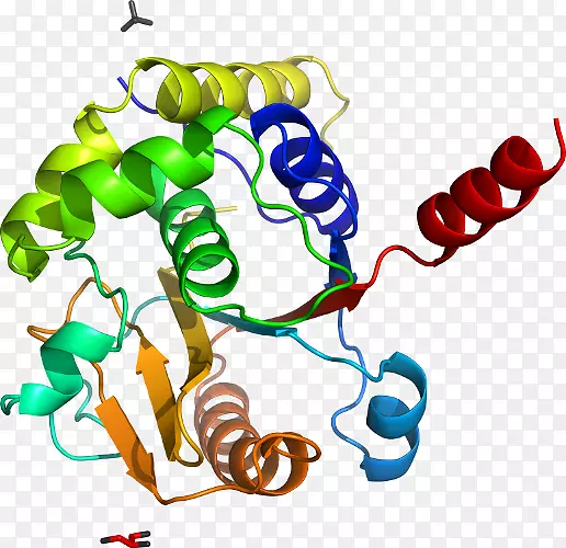 �ߵ������������-������