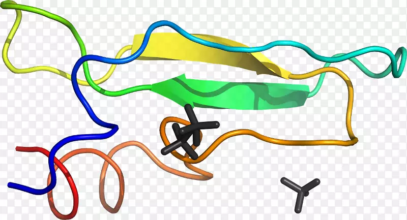 �ߵ������-��-������