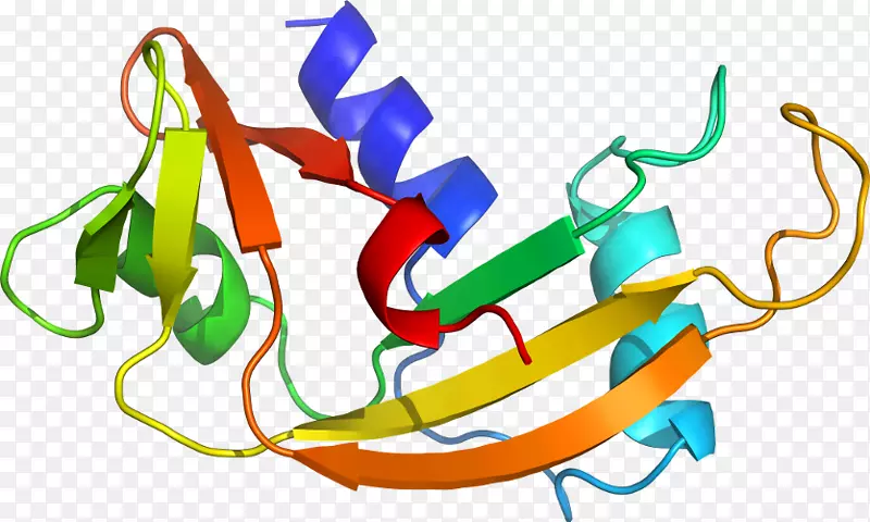 �߲�ϵ���л��������-�߲�-������