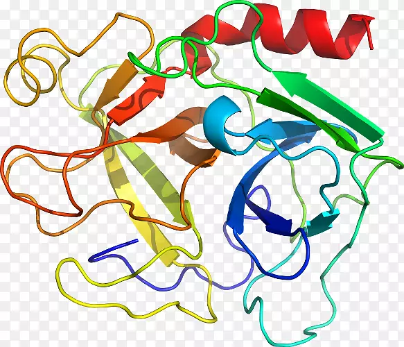 �ߵ������������-������