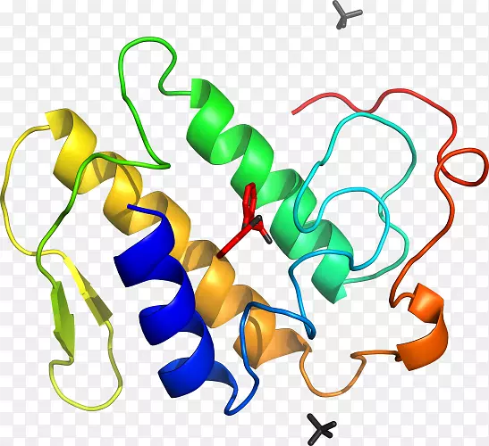 �ߵ������������-������