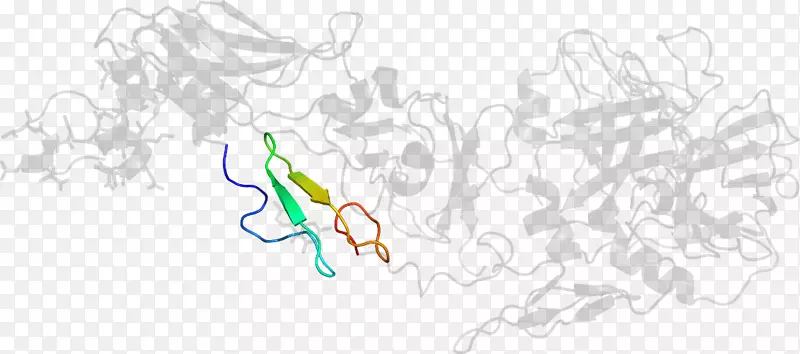 ƽ����Ƽ�����.���-������