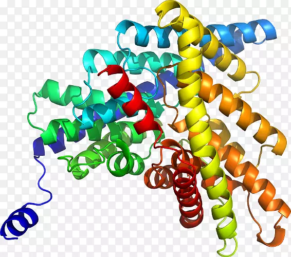 �����鱦�л�������������.�鱦-������