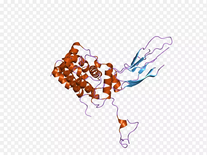 �����ֽ�����߼���������-������