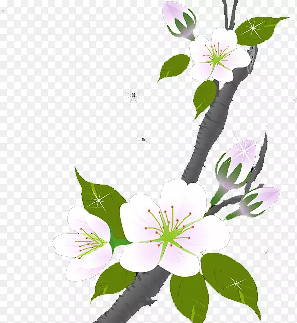 �����÷��-������