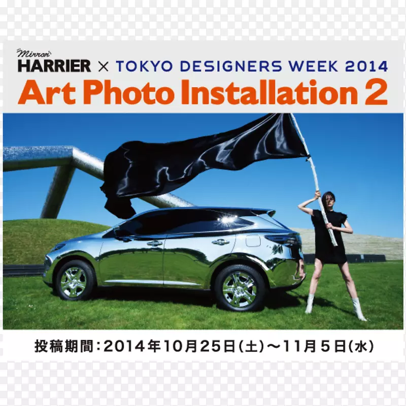 ���Ż������������ͽγ�-������