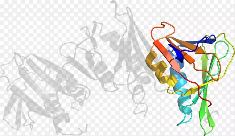 ���������-������