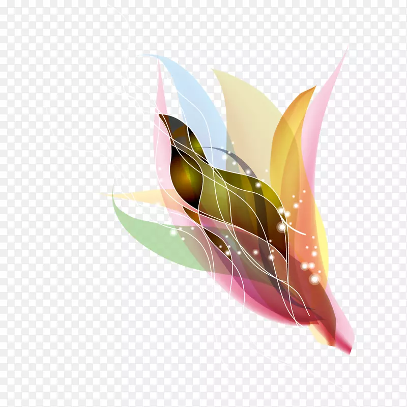 ���ߵ�-������