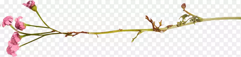 ������ͼ-���Ž���װ��Ʒ-������