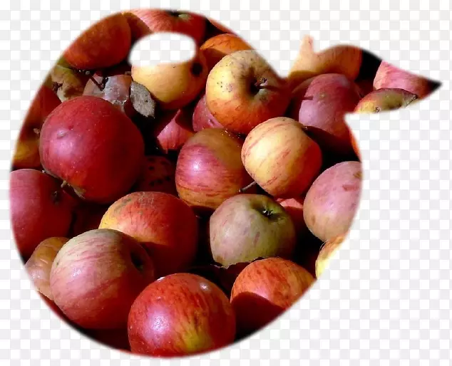 ƻ��֭ˮ��ʳƷ-ƻ��-������