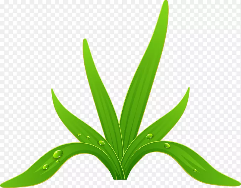 ѩ�λ���������.�ֻ��-������