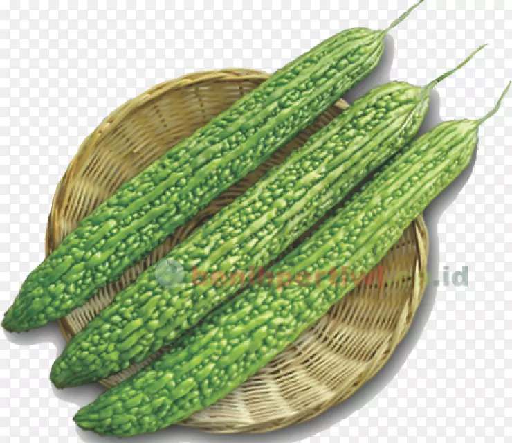 �ƹϿ������-������