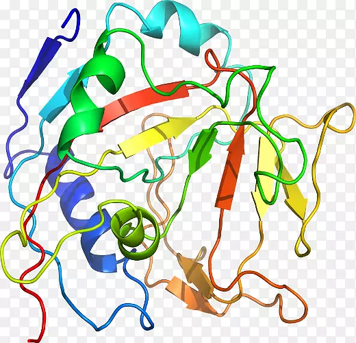 �ߵ������������-������