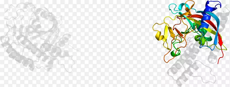 ���������-������