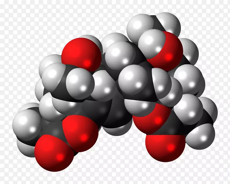 ʥ��װ��Ʒ-ʥ����-������