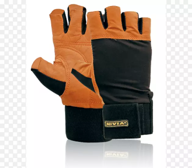 ���������ְ����������������������-������