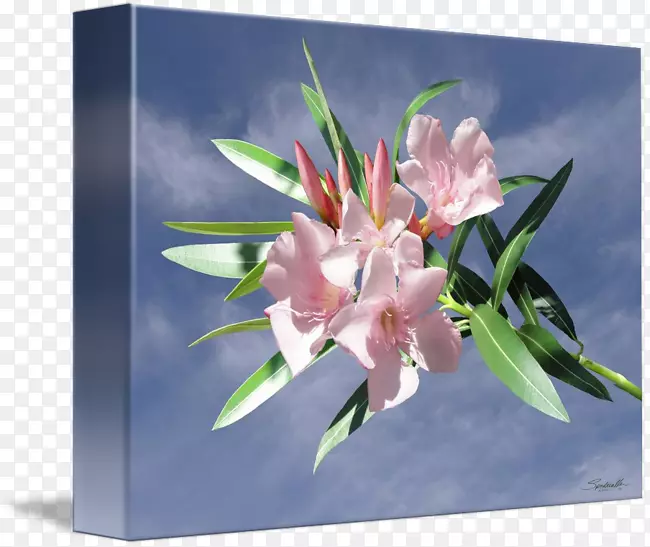 ����������˽��л�����-������