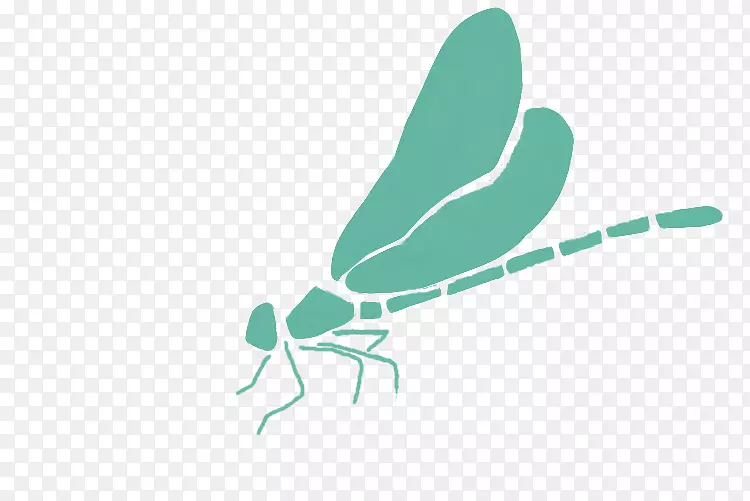 �������������������-����-������