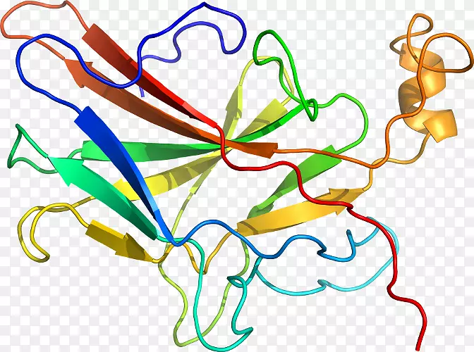 Ҷ�ߵ������-Ҷ-������