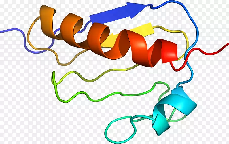 �ߵ������-��-������