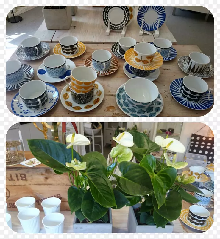 ���ϻ���;߳�-������