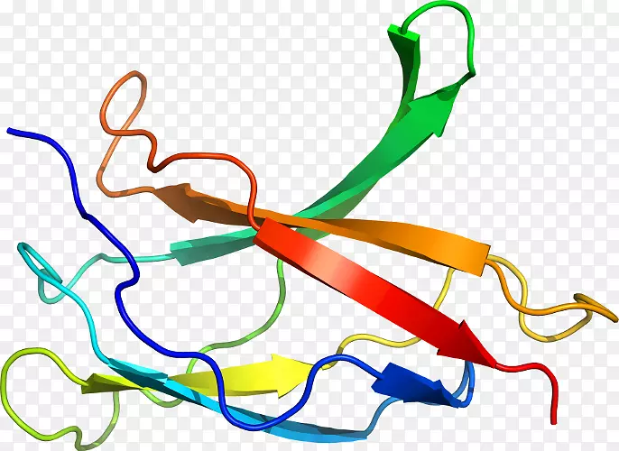 �ߵ������-��-������