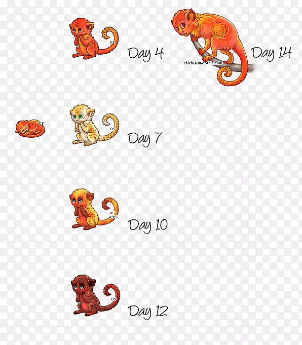 �����߶�������-����-������