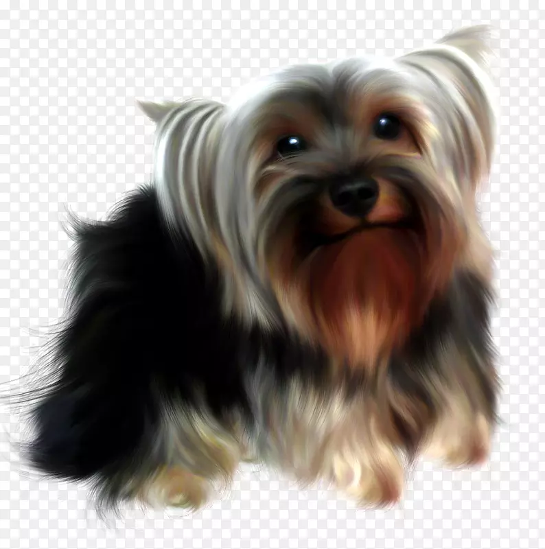 Լ�˿���Ȯ���Ĵ�����˿״��Ȯ���Ĵ�������Ȯ��Ī������Ȯ-С��-������