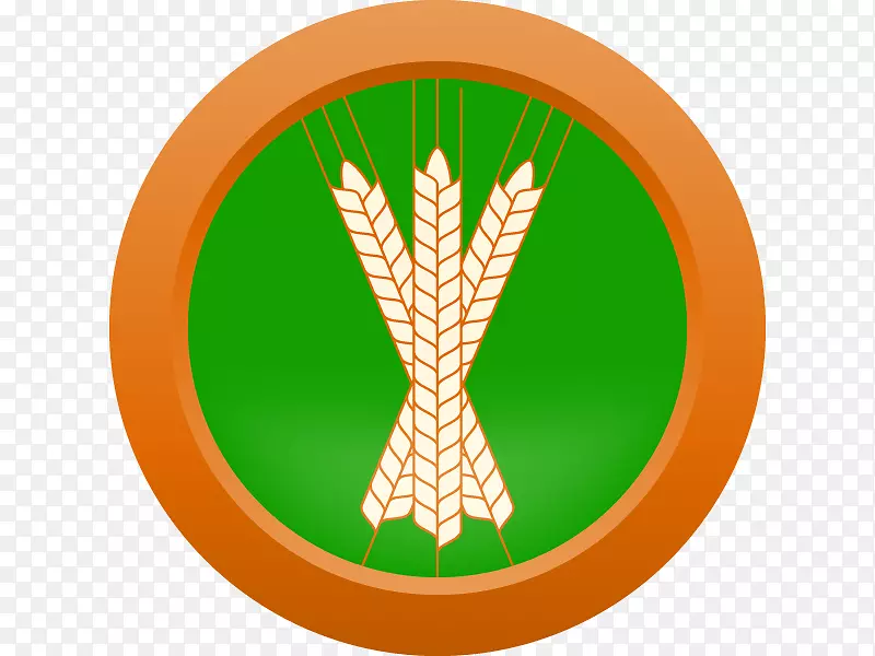 ơ�Ʊ�-ơ���䷽-������