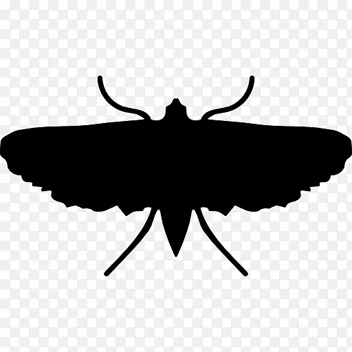 �������������-����-������