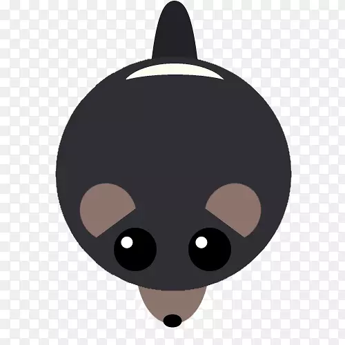 ����è���Ӽ�����è-������