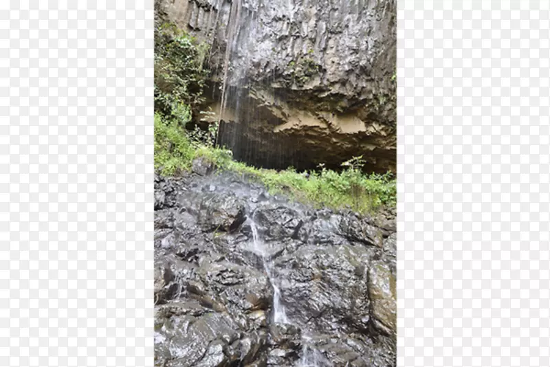 ���޿�ѧ�о�������Ȼ���＼��-����-������