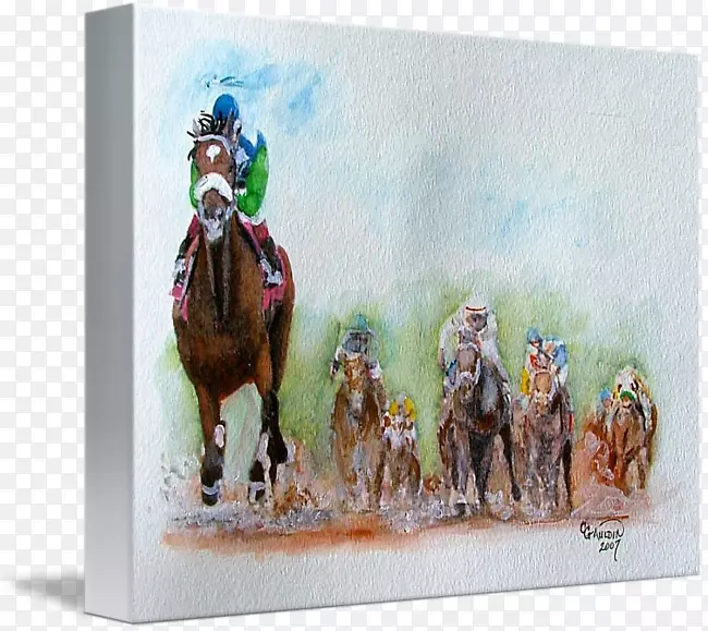 ��ˮ�ʻ�����-������