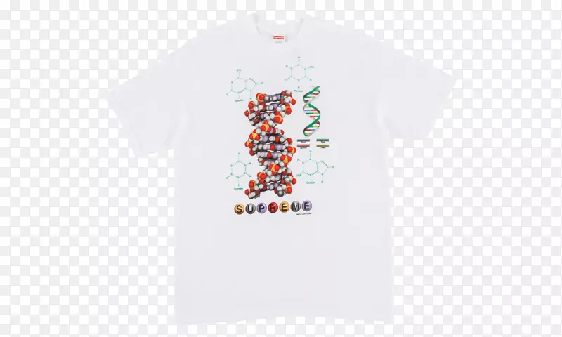 t�����ӱ�־����-t��-������