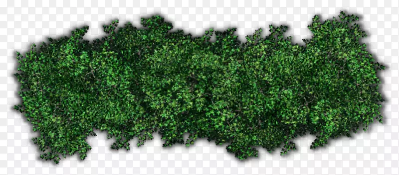 ��ľ�����������-������