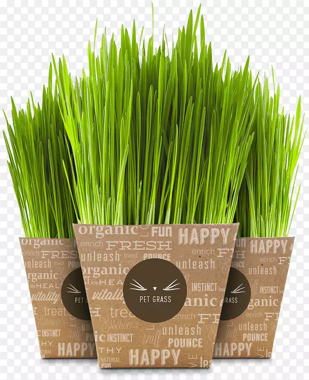 è��������è���������è-������