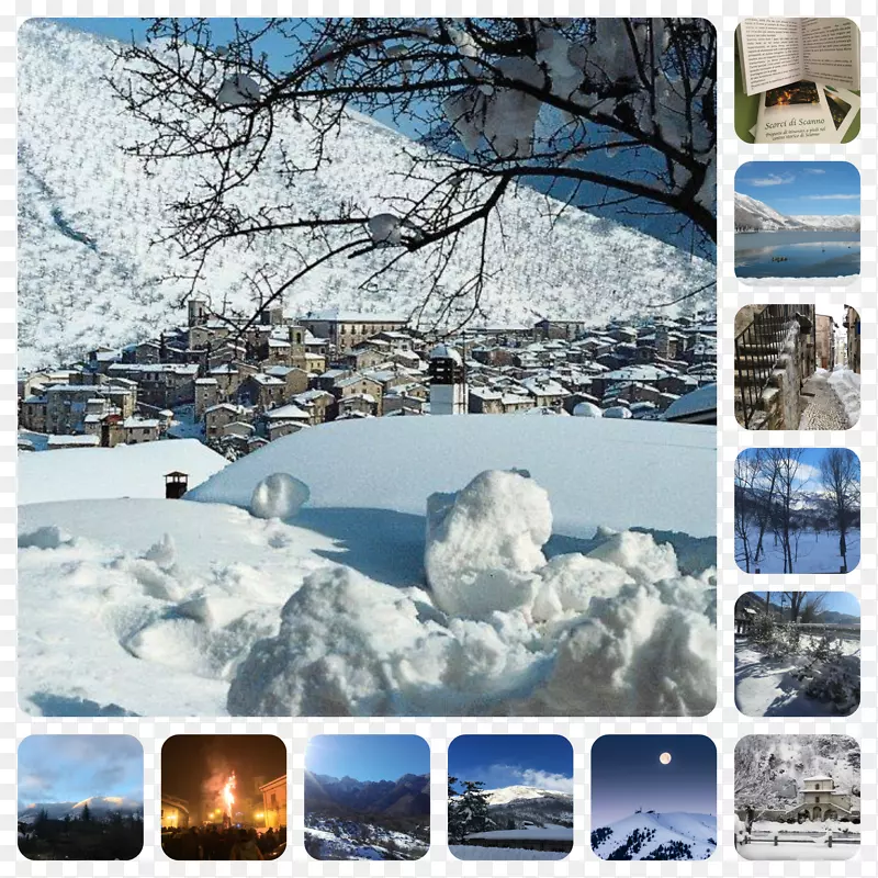 ������Ʋ������粣������-������