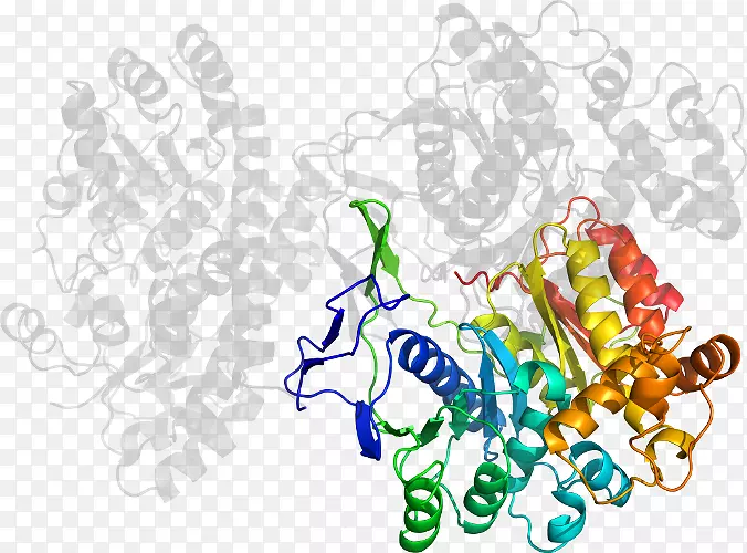 �ߵ������-��-������